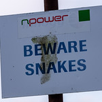 Beware Snakes, Aberthaw