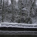 20210124-Snow on the canal
