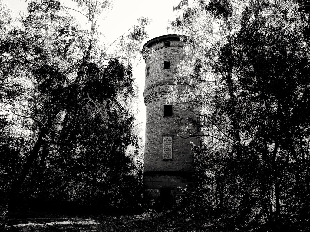 : Abandoned tower in forest