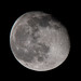 A waning gibbous moon