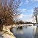 Winter in Odijk, Netherlands - 4107