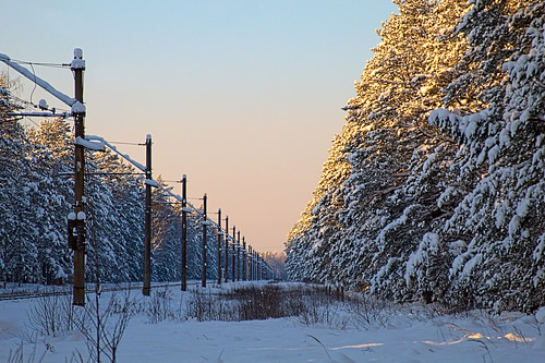 Frozen Railway ©  Егор Журавлёв