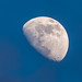 La Lune / The Moon [2021.02.21]