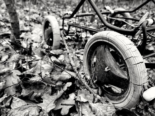 Wheels and leaves ©  Sergei F
