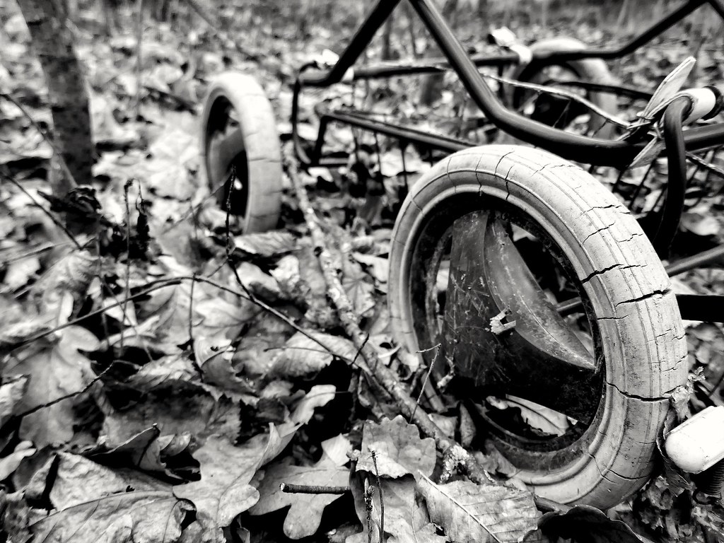 : Wheels and leaves