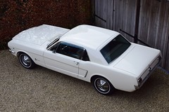 Ford Mustang Coupé 260 ci. (1964)