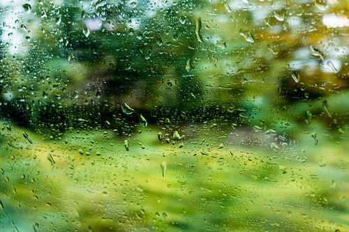 Rainy Train Ride III