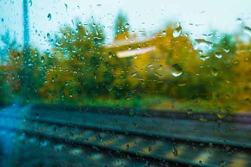 Rainy Train Ride V