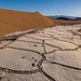 White Cracked Mud in Death Valley