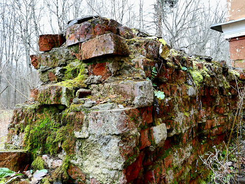 Red bricks and moss. Slow decay ©  Sergei F