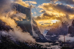 Misty Yosemite Valley Sunrise