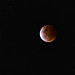Lunar Eclipse, Queensland.