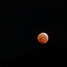 Lunar Eclipse May 26, 2021