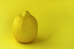 Lemon on Yellow