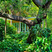 Jungle Prada home