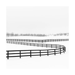 Winter Horse Farm Review II