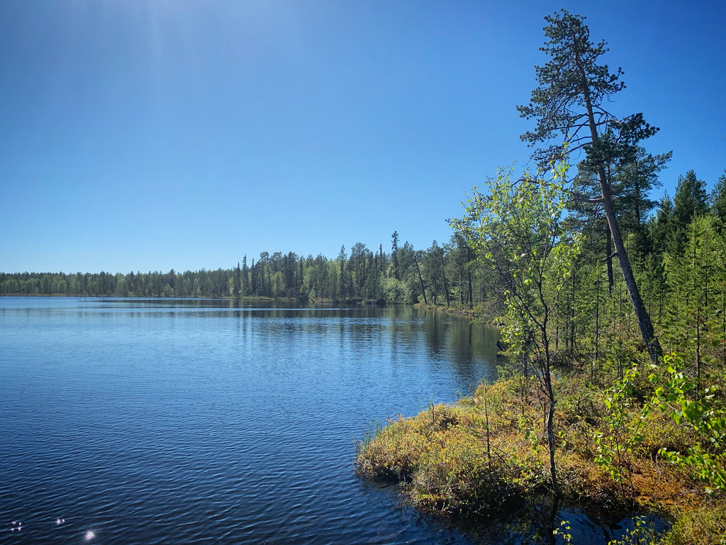 : Lake in the forest in Murmansk Oblast, Russia, June 2019