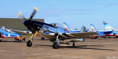 N4034S / 44-63889 - North American P-51D Mustang "Miss Stress"