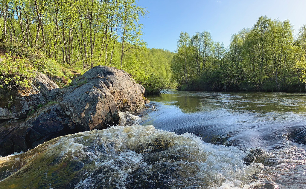 : River Lavna flowing through the woods near Murmansk, Russia, June 2019