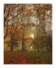 Autumn Impression 10102021B <a style="margin-left:10px; font-size:0.8em;" href="http://www.flickr.com/photos/63045500@N00/51663428127/" target="_blank">@flickr</a>