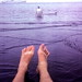 Ted's bare feet, penguins IMG_8759