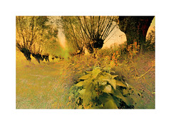 Landscape 22112021 B <a style="margin-left:10px; font-size:0.8em;" href="http://www.flickr.com/photos/63045500@N00/51698700710/" target="_blank">@flickr</a>