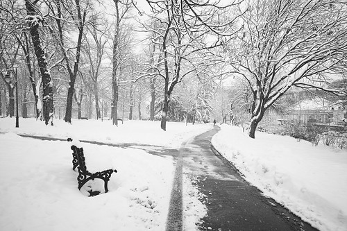 snowy Belgrade ©  Tony