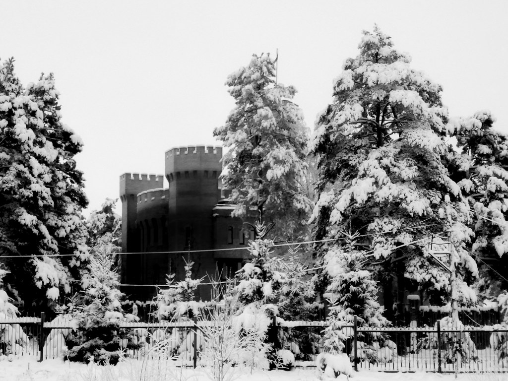: Castle in a winter forest