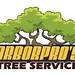 Arbor-logo-320w