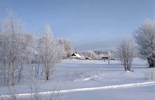 Freezing day ©  Egor Plenkin