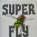 Super Fly — The Unexpected Lives of the World's Most Successful Insects