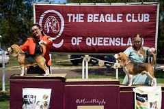 _MBP4918  Beagle Show 16th October 2021 beagleclubqld@hotmail.com