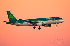 Aer Lingus in old colors • <a style="font-size:0.8em;" href="http://www.flickr.com/photos/125767964@N08/51801912621/" target="_blank">View on Flickr</a>