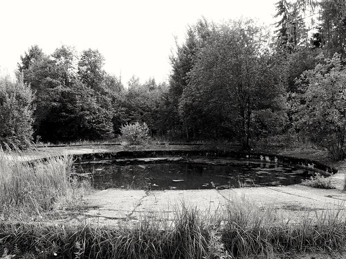 Perfectly round lake ©  Sergei F