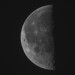Last Quarter Moon 50.6% illuminated 32.1 arcmin