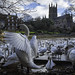20220208-Swan Sanctuary at Worcester