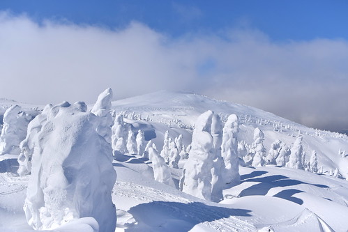Hakkoda snow monsters ©  Raita Futo