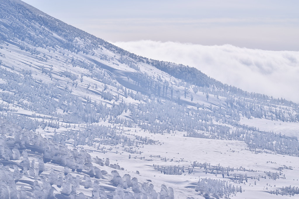 : Winter Mt. Hakkoda