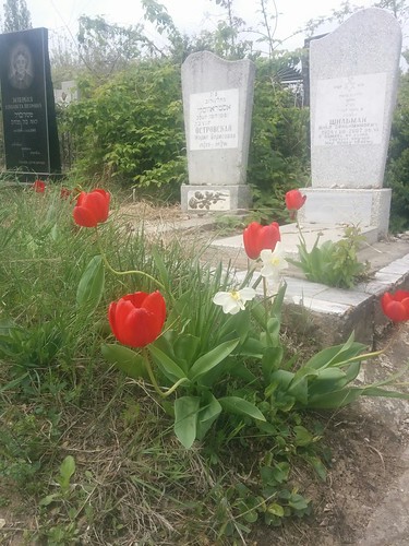 Chisinau_Moldova_Jewish-Cemetry_Cimitirul-Evreiesc-din-Chisinau_29 ©  Omri Westmark