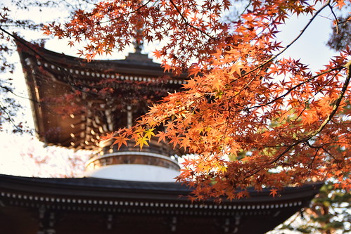 Jissoin temple in Setagaya ©  Raita Futo