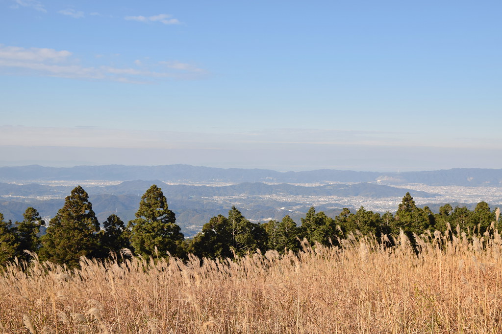 : Wakayama's landscape