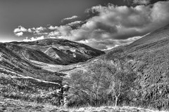 Glen of Sorrow, Ochil Hills