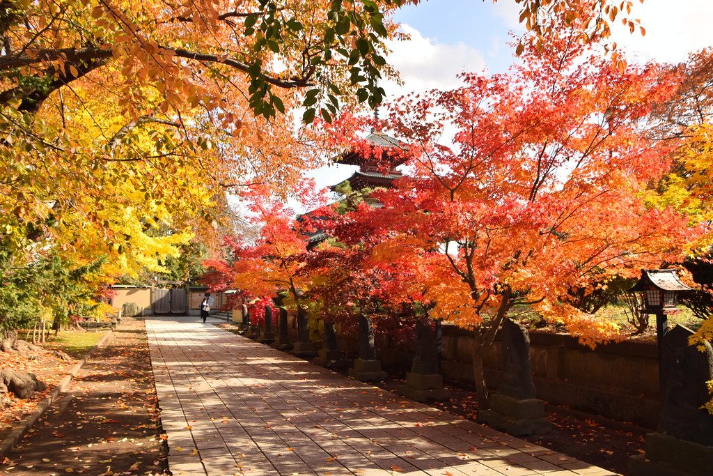 : Autumn in Aomori