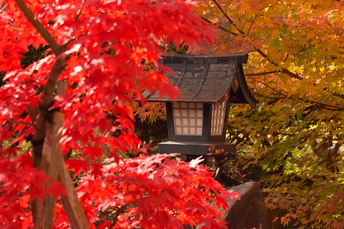 Autumn in Aomori ©  Raita Futo