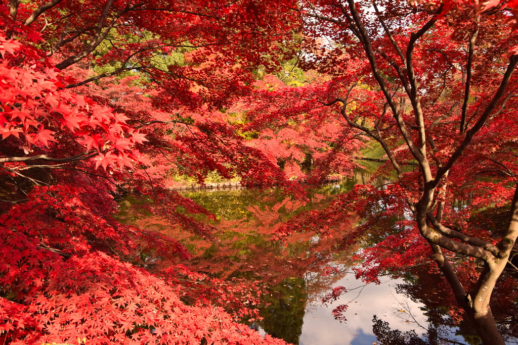 : Hirosaki Castle painted in red