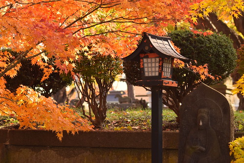 Autumn in Aomori ©  Raita Futo