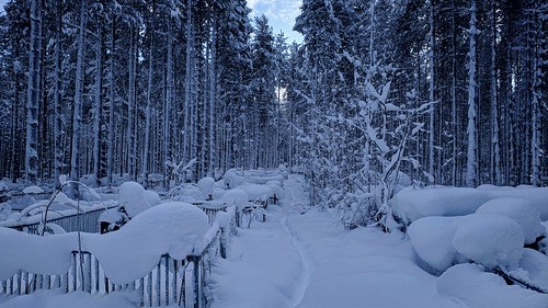 A lot of snow ©  Egor Plenkin