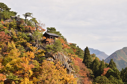 Yamadera autumn ©  Raita Futo