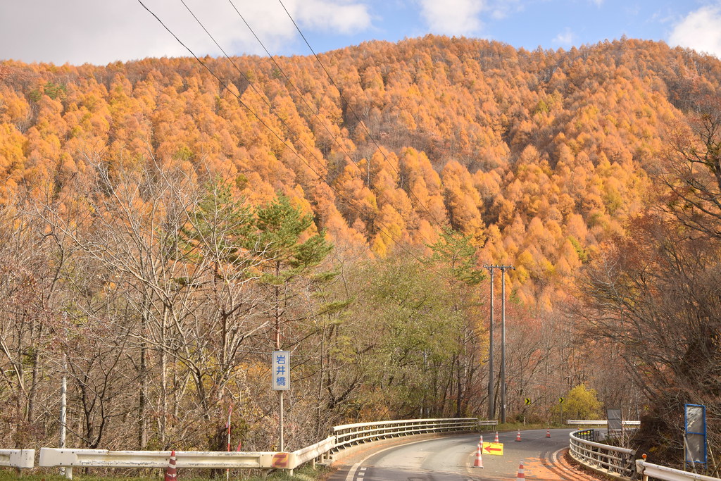 : Iwate autumn mountains
