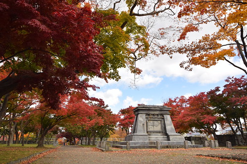 Morioka autumn ©  Raita Futo